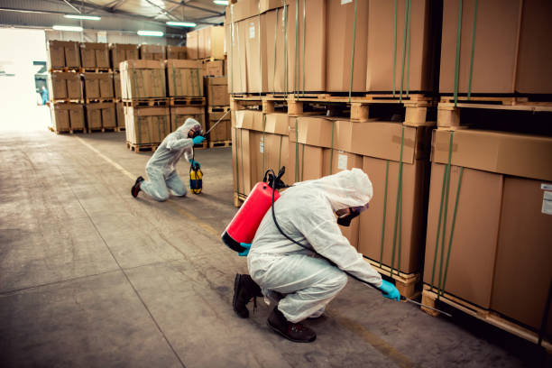 Best Affordable Pest Control Services  in Oakboro, NC