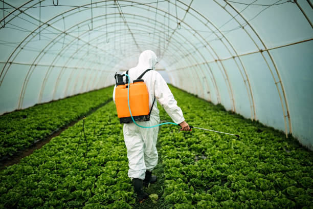 Best Affordable Pest Control Services  in Oakboro, NC