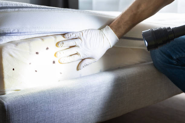 Best Best Pest Control Companies  in Oakboro, NC