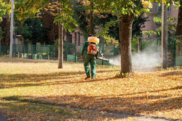 Best Residential Pest Control  in Oakboro, NC