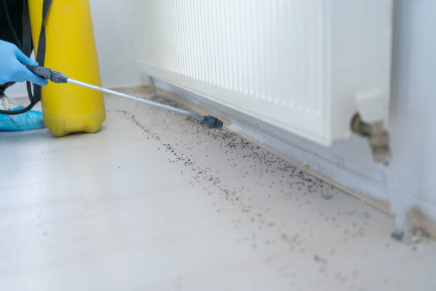 Best Rat Extermination Near Me  in Oakboro, NC
