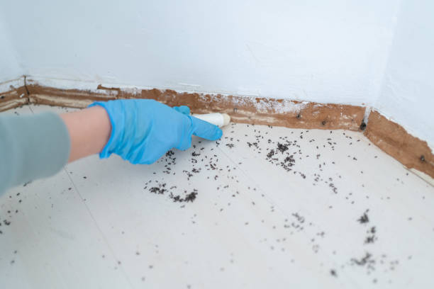 Oakboro, NC Pest Control Company